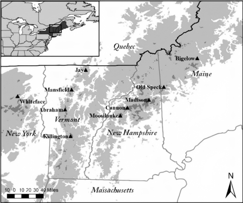 Map of mountain network